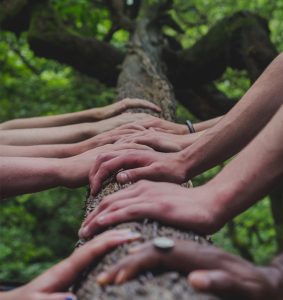 Hands on a tree