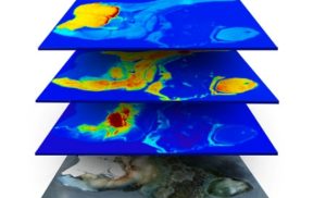 imaging element analysis