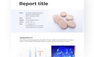 Image shows a report