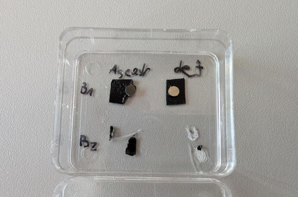 Metallic glass samples